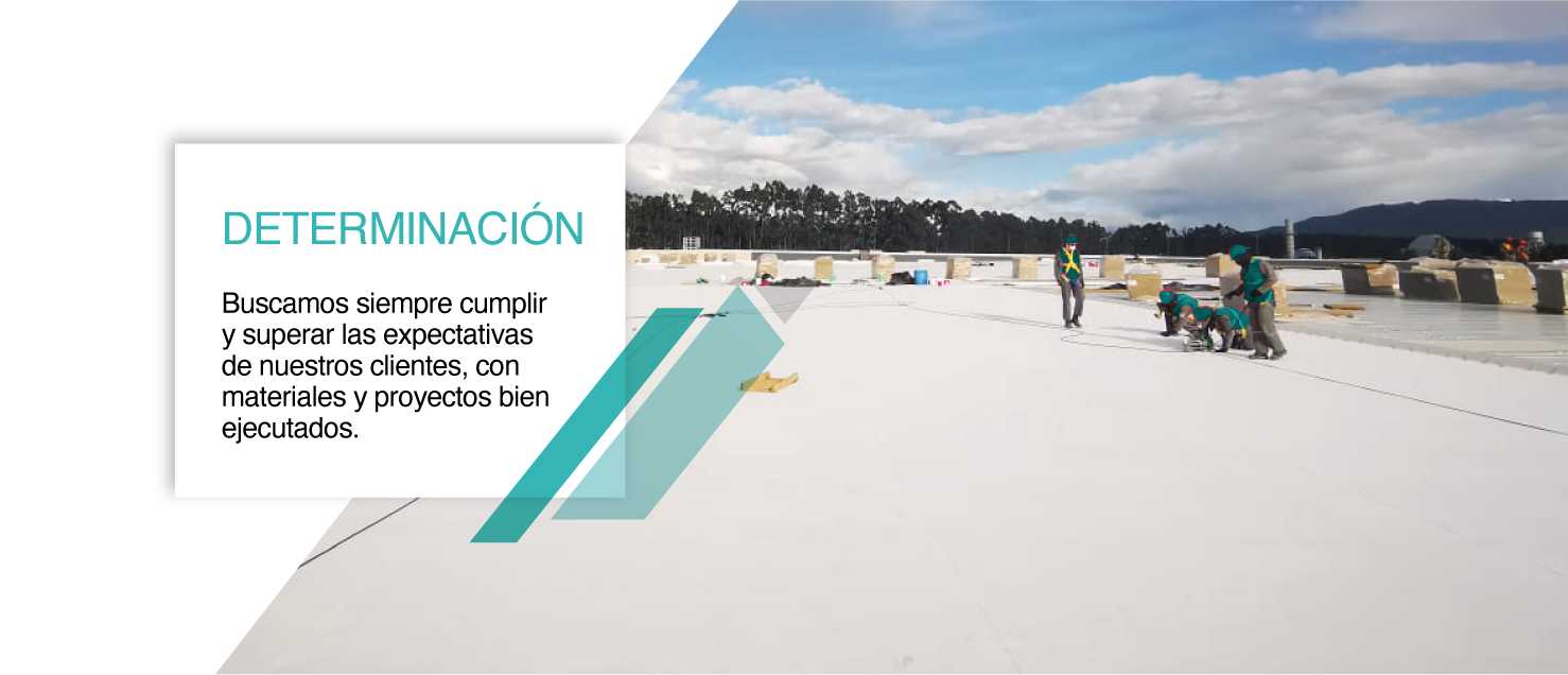 NEW-Megamontajes-Determinacion