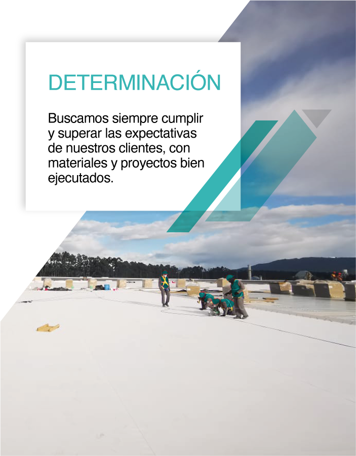 bannercel1_determinacion megamontajes